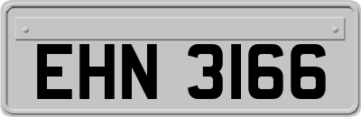 EHN3166