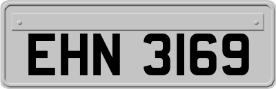 EHN3169