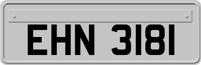 EHN3181