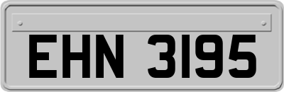 EHN3195