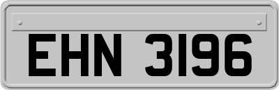 EHN3196