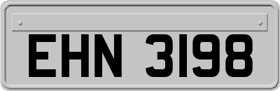 EHN3198