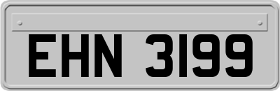 EHN3199