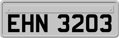 EHN3203