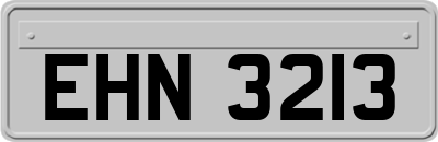EHN3213