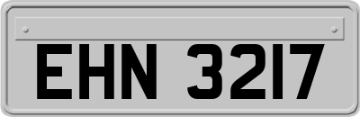 EHN3217