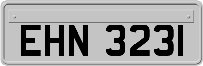 EHN3231