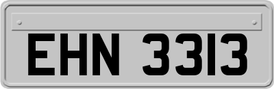 EHN3313