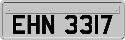 EHN3317