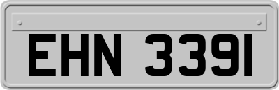 EHN3391