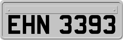 EHN3393