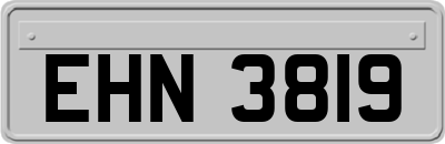 EHN3819