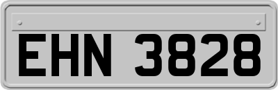 EHN3828