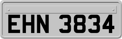 EHN3834