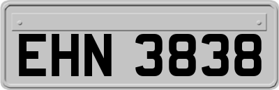 EHN3838