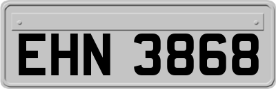 EHN3868