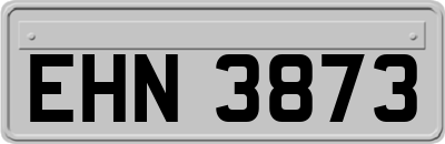 EHN3873