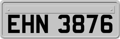 EHN3876