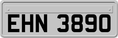 EHN3890
