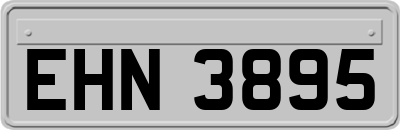 EHN3895