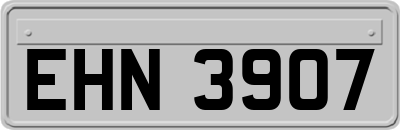 EHN3907
