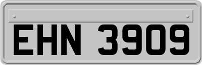 EHN3909