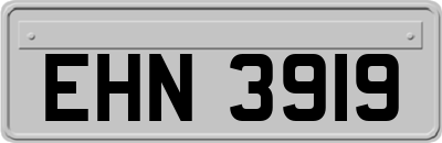 EHN3919