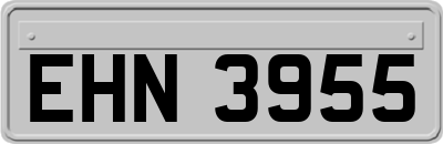 EHN3955