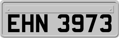 EHN3973