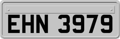 EHN3979