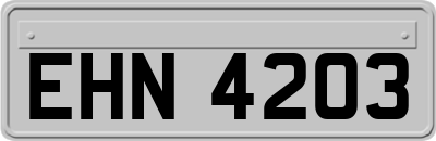 EHN4203