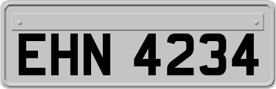 EHN4234