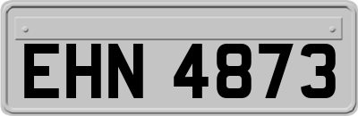 EHN4873