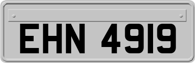 EHN4919