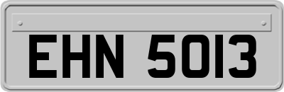 EHN5013
