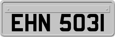 EHN5031