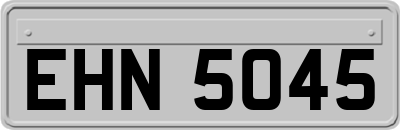 EHN5045