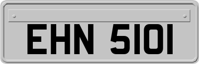 EHN5101
