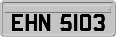 EHN5103