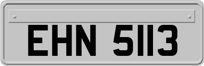 EHN5113