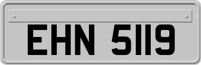 EHN5119