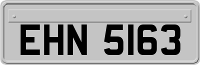 EHN5163
