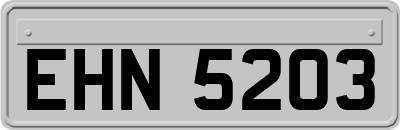 EHN5203
