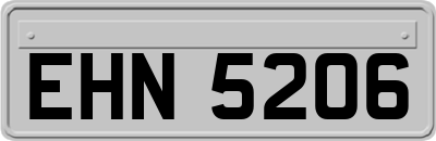 EHN5206