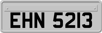 EHN5213