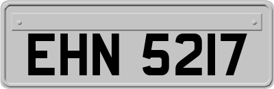 EHN5217