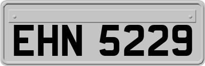 EHN5229