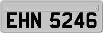 EHN5246