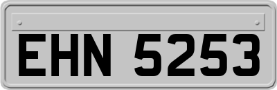 EHN5253