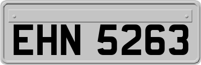 EHN5263